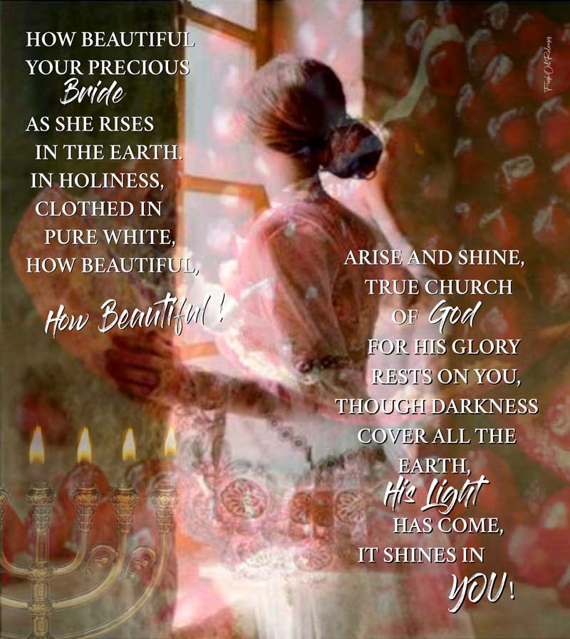 How Beautiful Your Precious Bride image